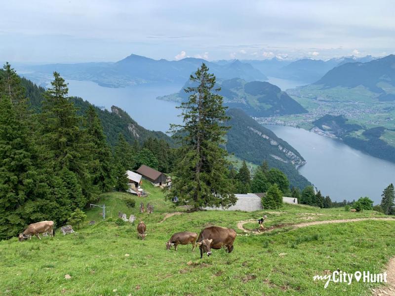 myCityHunt Jeu de Piste 14