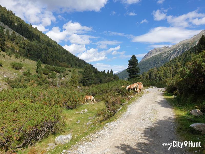 myCityHunt Jeu de Piste 9