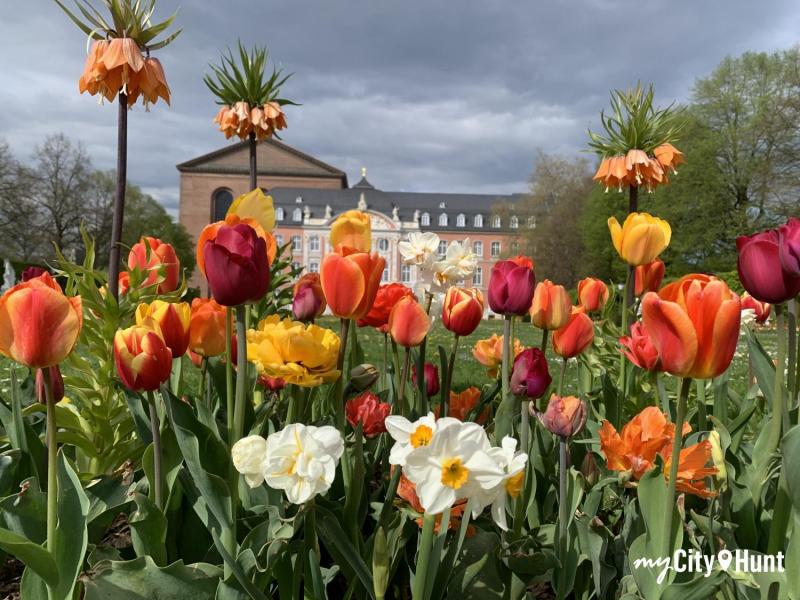 myCityHunt Jeu de Piste 7